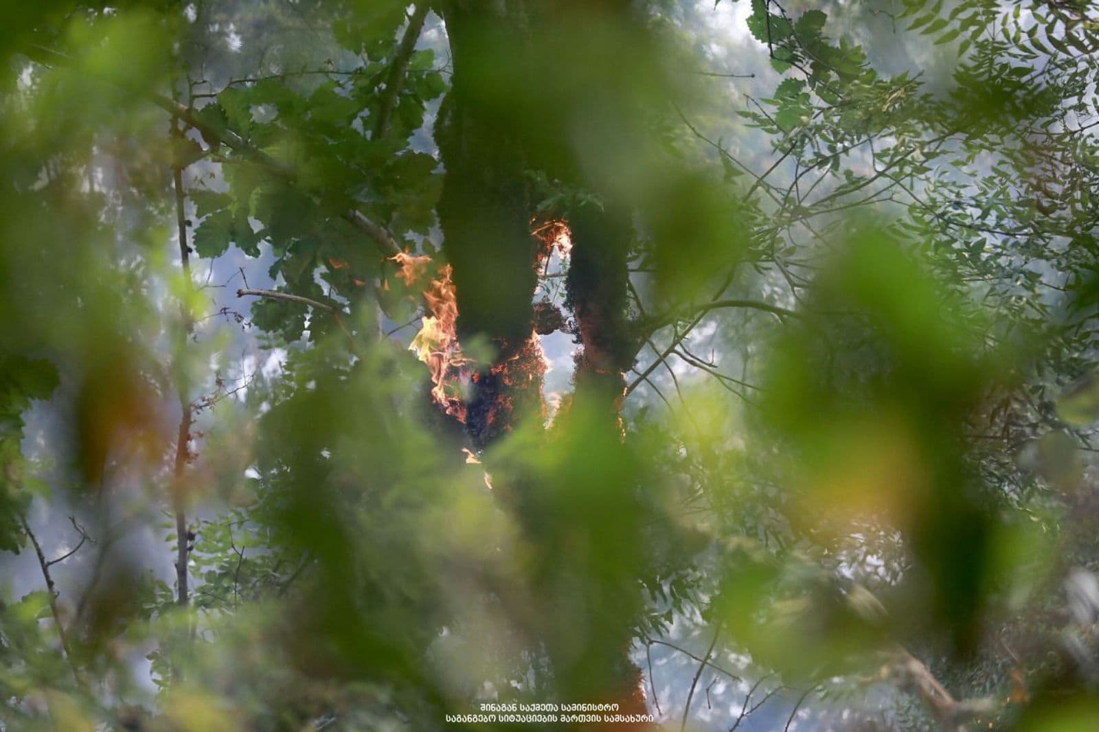 Frontnews image description