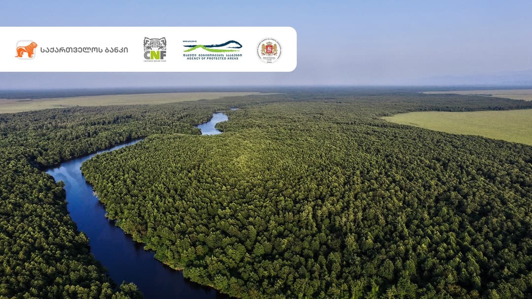 “საქართველოს ბანკის” მხარდაჭერით ოთხ დაცულ ტერიტორიას UNESCO-ს მსოფლიო ბუნებრივი მემკვიდრეობის სტატუსი მიენიჭა