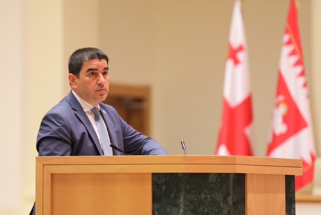 Parliament Speaker urges MEPs to “not only halt shameful campaign” backing Saakashvili, but also “repeal damage” inflicted on Georgia