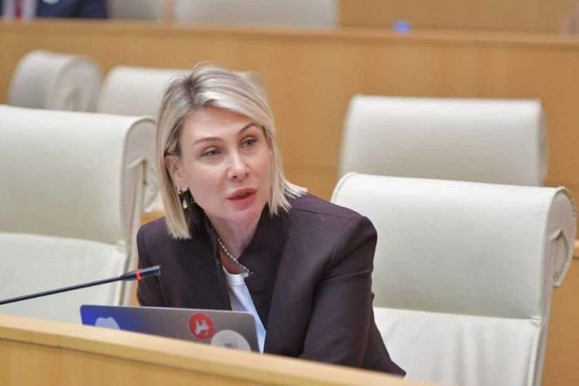 ნინო წილოსანი – იტყუება და თუ საჯაროდ არ უარყოფს ჩემთან დაკავშირებულ ცრუ ბრალდებას, სასამართლოში შევხვდებით