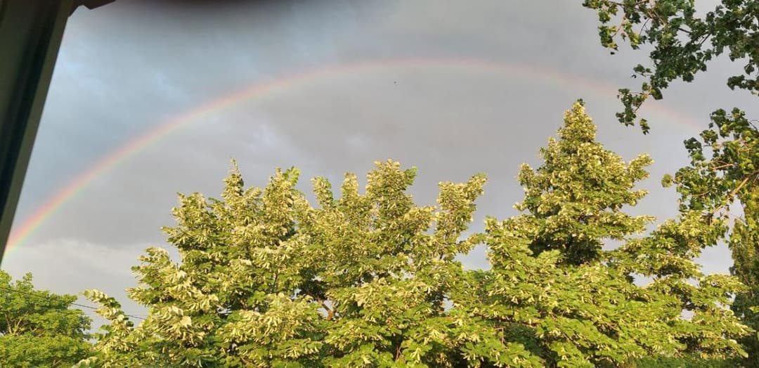 6-7 ივლისს მოსალოდნელი ამინდი საქართველოში