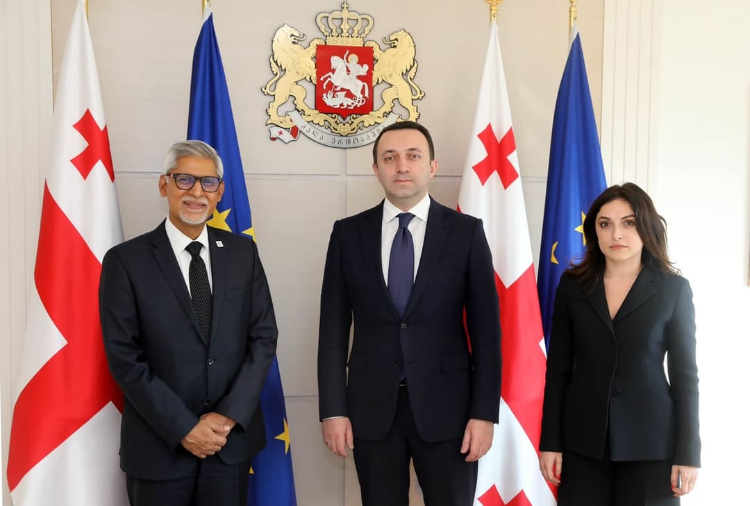 პრემიერ-მინისტრი წითელი ჯვრისა და წითელი ნახევარმთვარის საზოგადოებათა საერთაშორისო ფედერაციის გენერალურ მდივანს შეხვდა