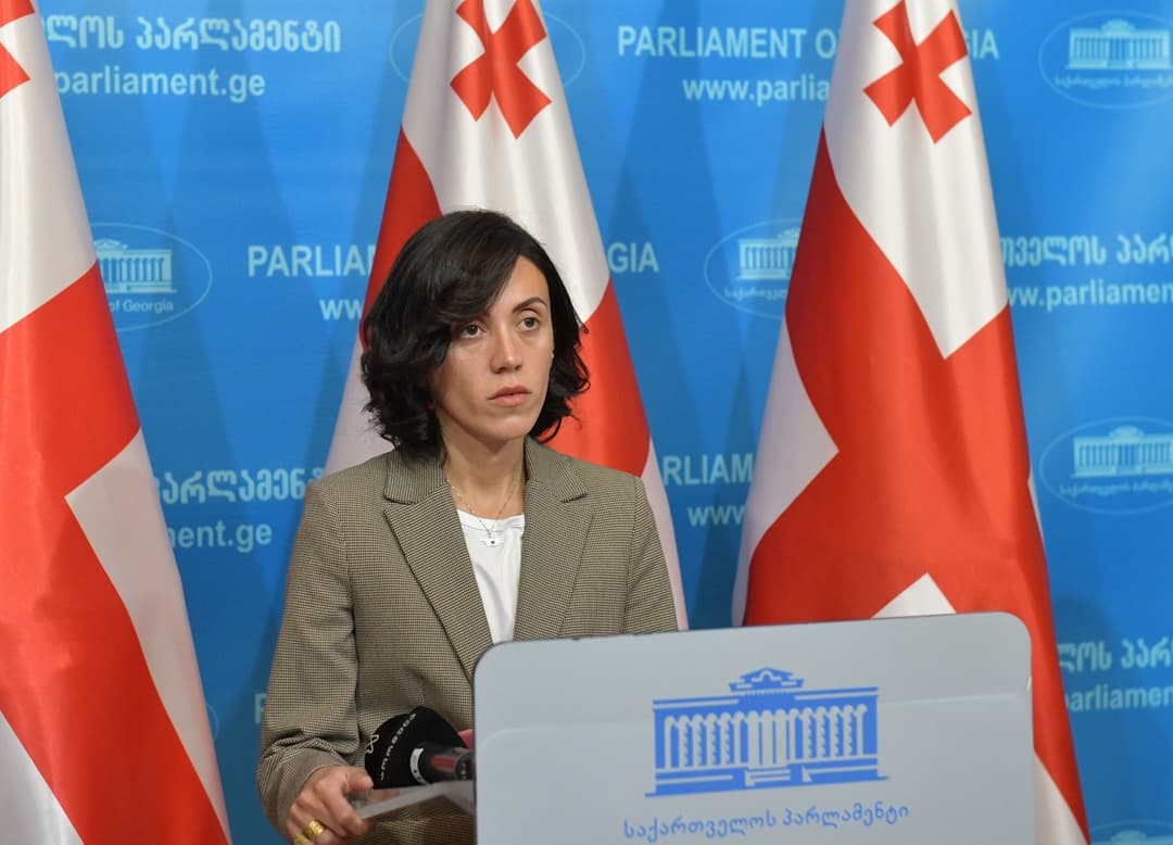 ანა წითლიძე – ახლა როცა ყველაზე მნიშვნელოვანია მიხეილ სააკაშვილის ჯანმრთელობის მდგომარეობა, რამდენად რელევანტურია არჩევნებზე საუბარი, არ ვიცი