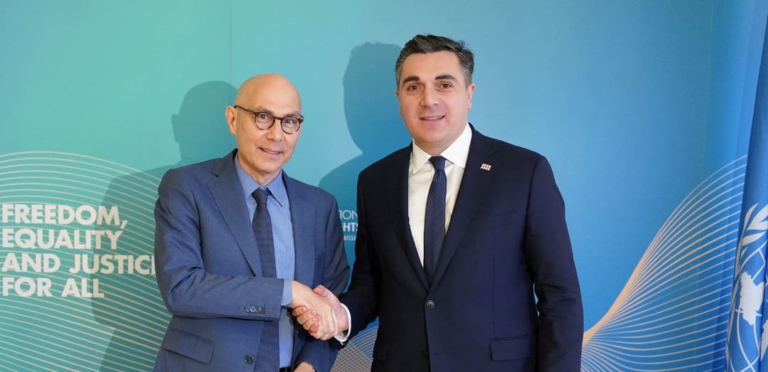 ილია დარჩიაშვილი გაეროს ადამიანის უფლებათა უმაღლეს კომისარს შეხვდა