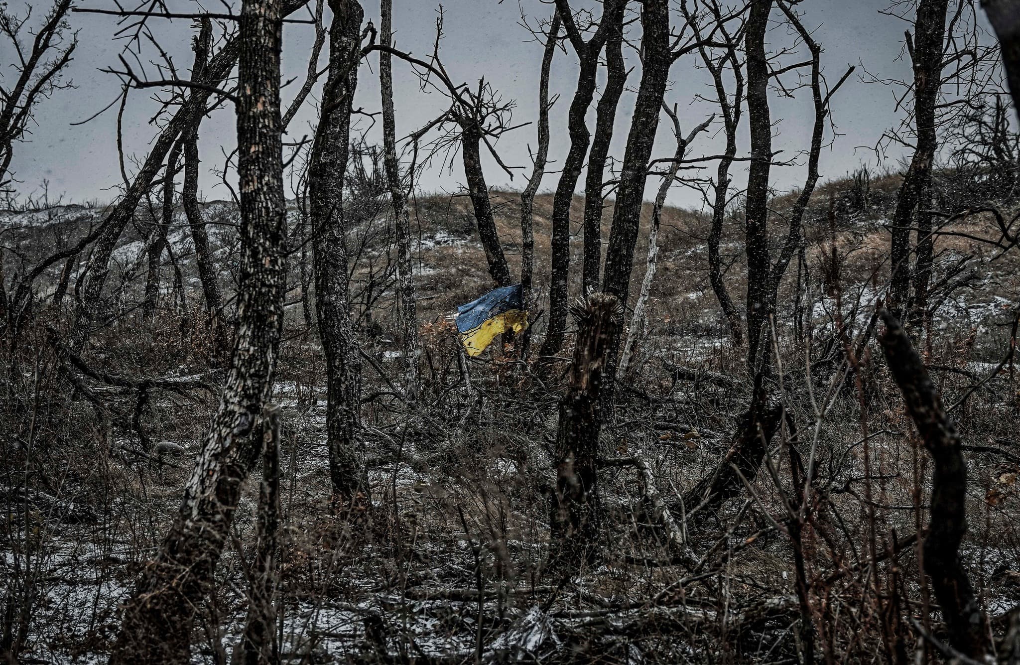 Frontnews image description