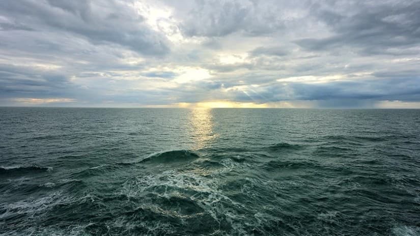 მონიტორინგის შედეგების მიხედვით, შავი ზღვის წყლის ხარისხი ნორმის ფარგლებშია