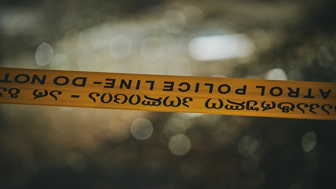 ბაღდათის ცენტრში ქუჩის ძაღლებმა შუახნის მამაკაცი დაგლიჯეს