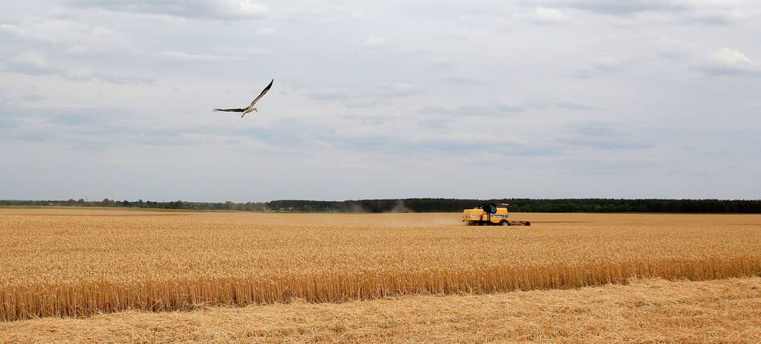 ანტონიო გუტიერეში – ომმა კაცობრიობის მეხუთედზე მეტი შესაძლოა, შიმშილის იმ მასშტაბამდე მიიყვანოს, რომელიც ათწლეულები არ ყოფილა