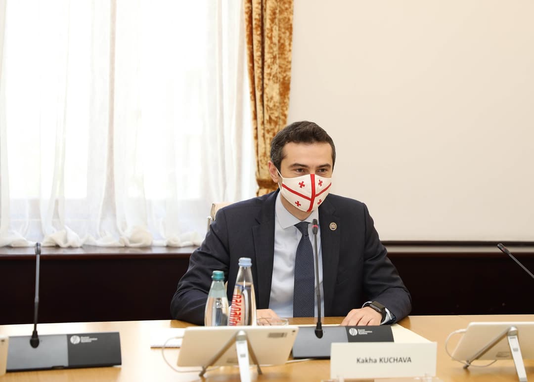 კახა კუჭავა – პრეზიდენტს უფლებაც არ აქვს დემარში განახორციელოს საკონსტიტუციო ორგანოს წინააღმდეგ