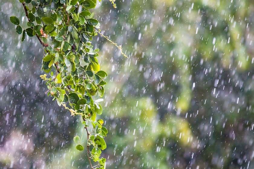 4 სექტემბრიდან საქართველოში ჰაერის ტემპერატურა მნიშვნელოვნად დაიკლებს