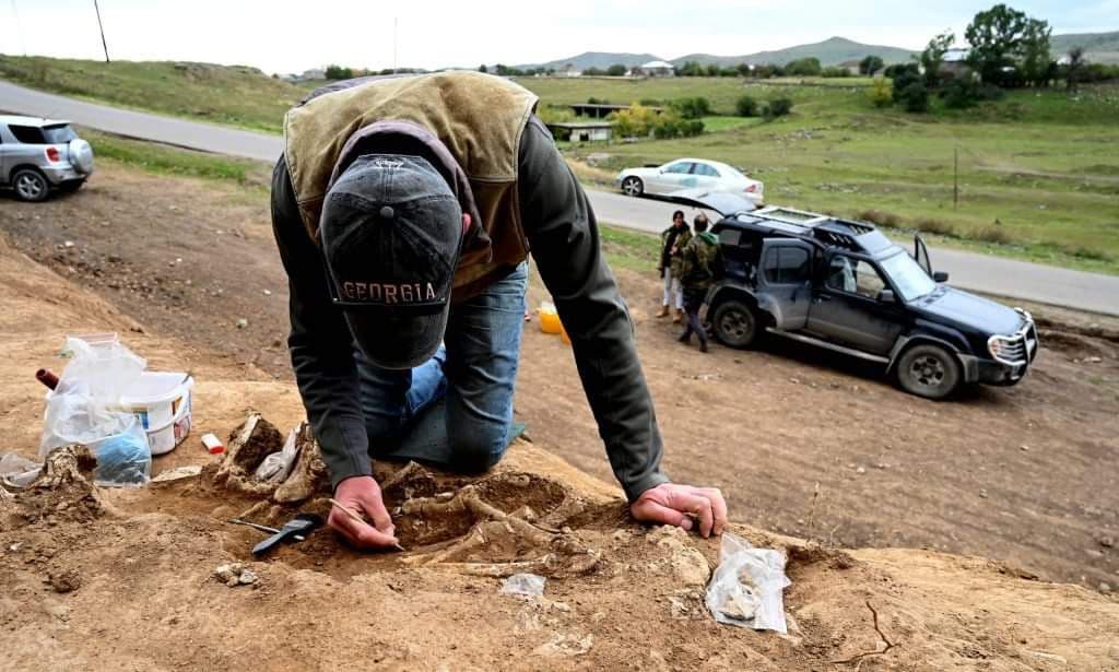 Georgia discovers 1.7–1.8 million-year-old human tooth
