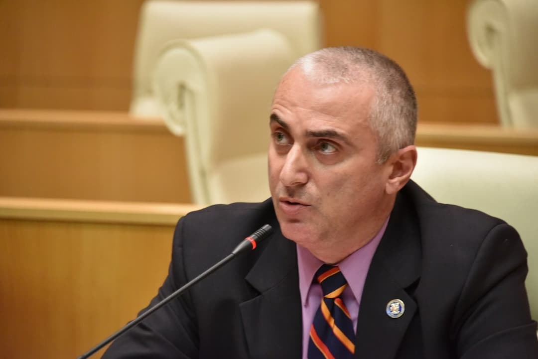 ვლადიმერ ჩაჩიბაია – ნატო-საქართველოს ურთიერთობა არის მაგალითი მთელს რეგიონში