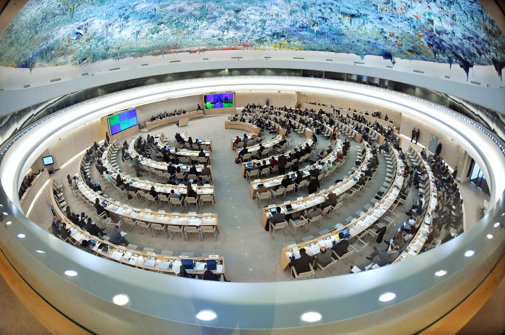 Georgia elected a member of the UN Human Rights Council