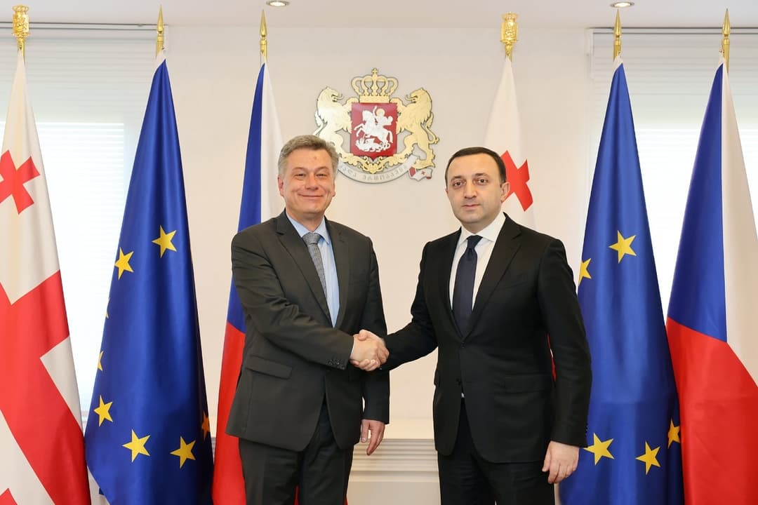 ირაკლი ღარიბაშვილი ჩეხეთის რესპუბლიკის იუსტიციის მინისტრს შეხვდა