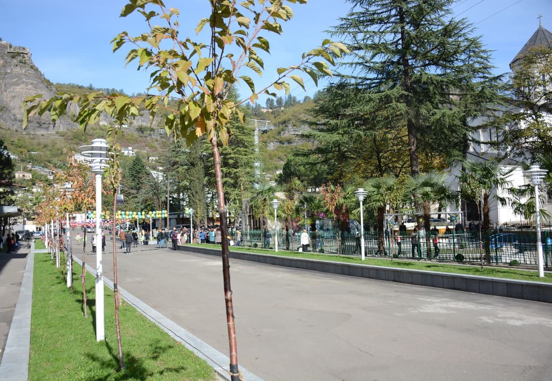 ჭიათურაში, ყაზბეგის ქუჩაზე საკურას ხეივანი გაიხსნა