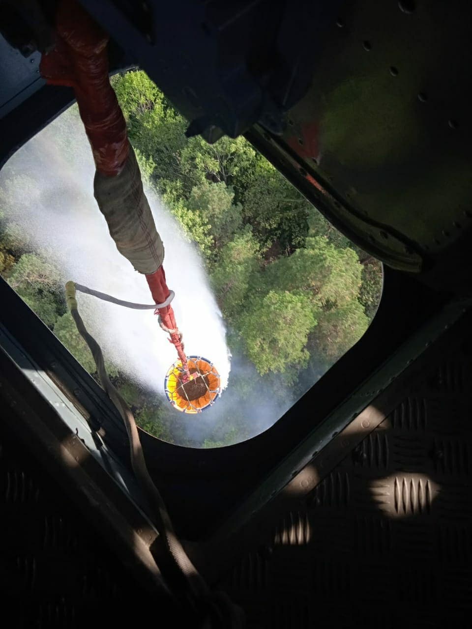 ბორჯომში, სოფელ ქვაბისხევის ტყეში ხანძარი ლოკალიზებულია