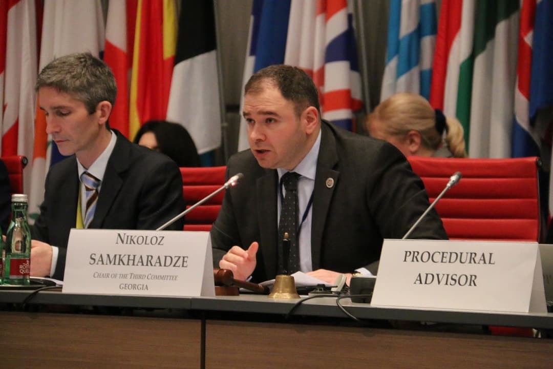 ნიკოლოზ სამხარაძე – მოვუწოდებ ბელარუსის ხელისუფლებას, პატივი სცეს საქართველოს სუვერენიტეტსა და ტერიტორიულ მთლიანობას