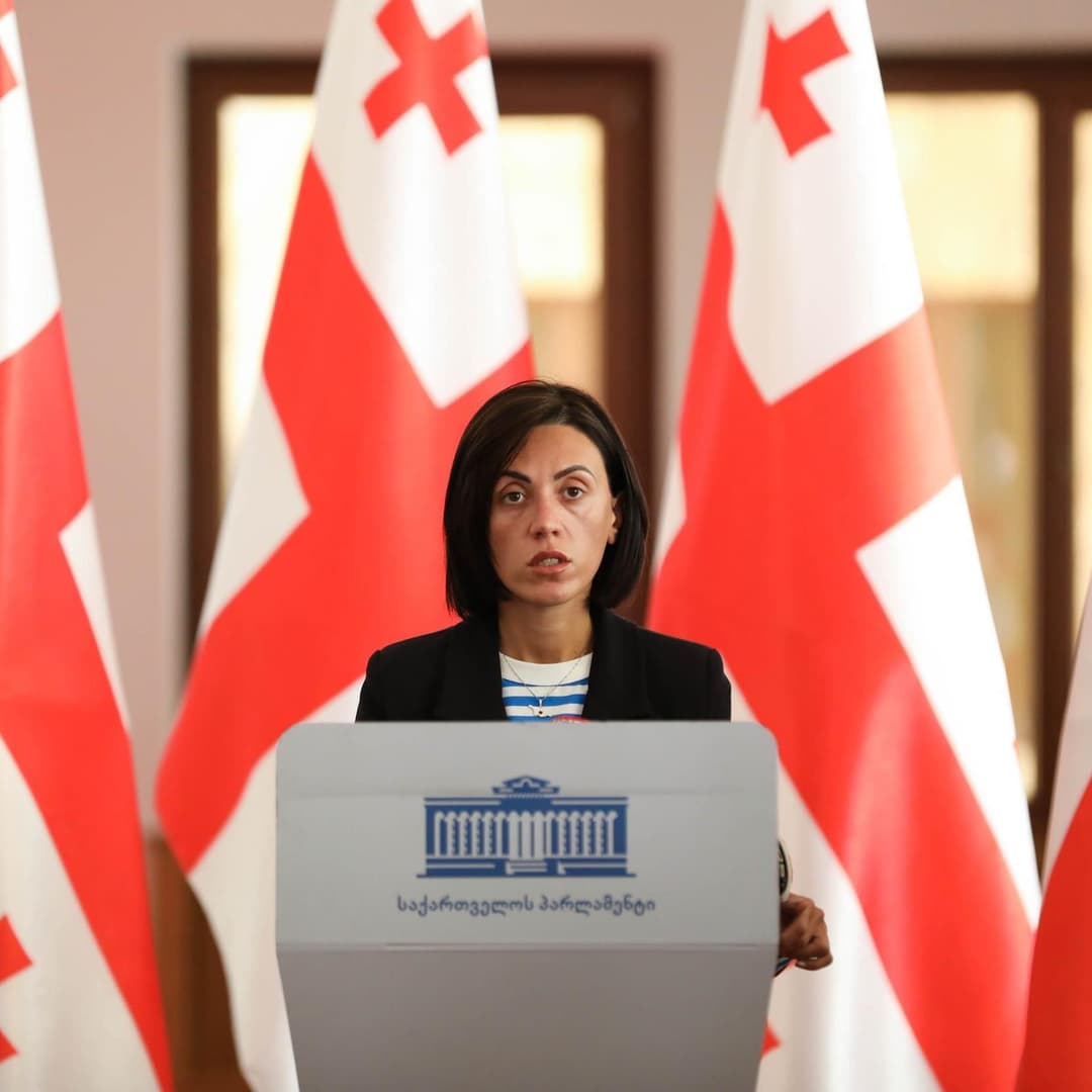 ანა წითლიძე – ვრცელდება, რომ შსს იბარებს 7-8 მარტის აქციაზე მყოფ ახალგაზრდებს, როგორც ჩანს, დაანონსებული დევნა დაიწყეს