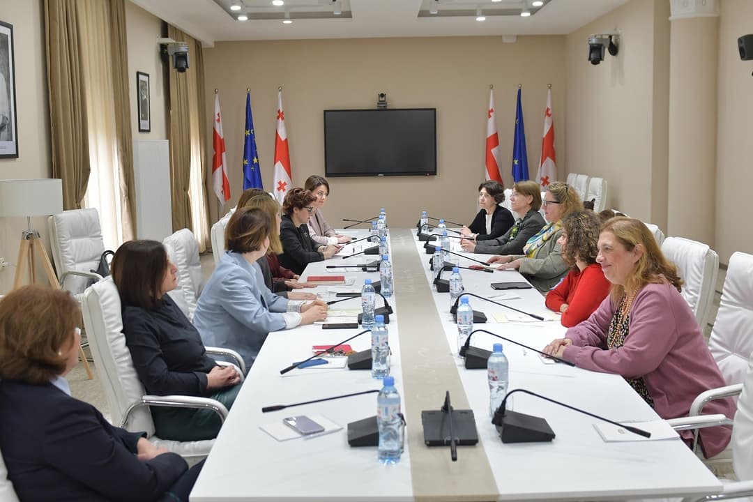 საპარლამენტო ოპოზიციის ქალი დეპუტატები 12 პუნქტის შესრულებასთან დაკავშირებით ელჩებს შეხვდნენ