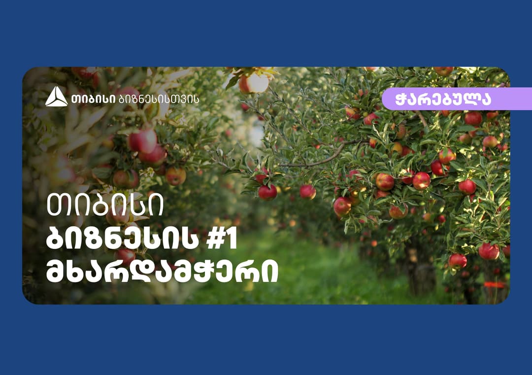 თიბისისთან პარტნიორობით კომპანია “ჭარებულამ“ გორის რაიონში ინტენსიური ვაშლის ბაღები გააშენა