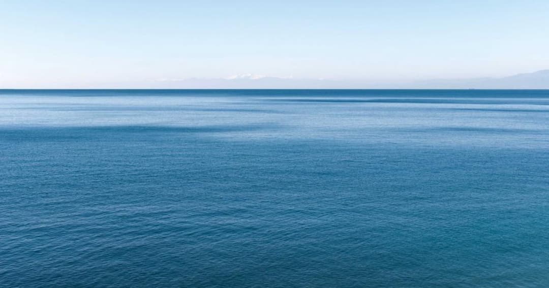 გარემოს ეროვნული სააგენტო – ზღვის წყლის ხარისხი მთელ პერიმეტრზე ნორმის ფარგლებშია