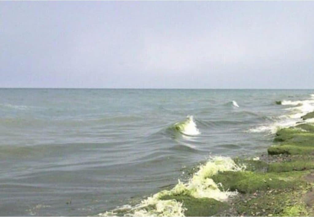 Frontnews image description