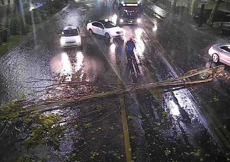 უამინდობამ თბილისში პრობლემები შექმნა – დატბორილია ქუჩები და მიწისქვეშა გადასასვლელები, წაქცეულია ხეები, დაზიანებულია ელექტროსადენები