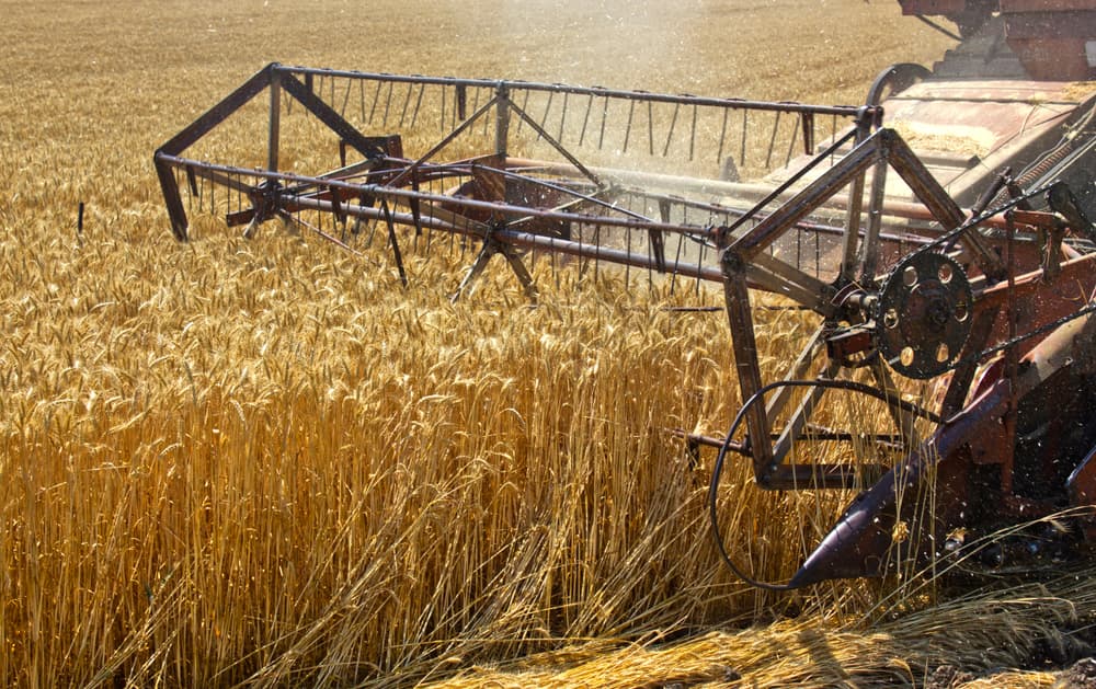 UN claims it makes new offer to Russia for “safe exports” of Ukrainian grains