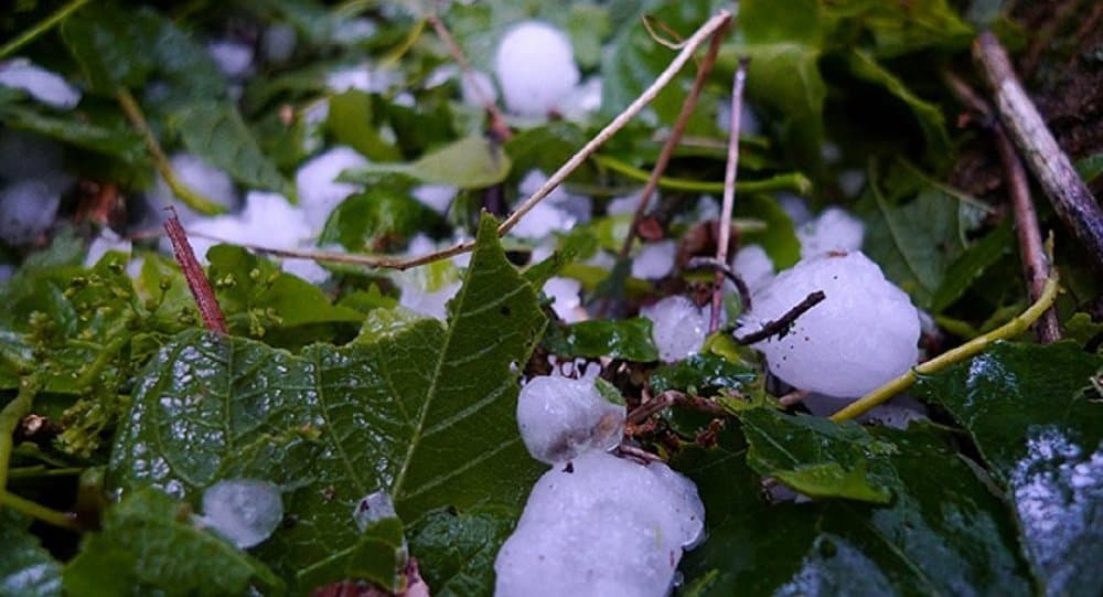 ახმეტის შემდეგ სეტყვამ თელავი და გურჯაანიც დააზარალა