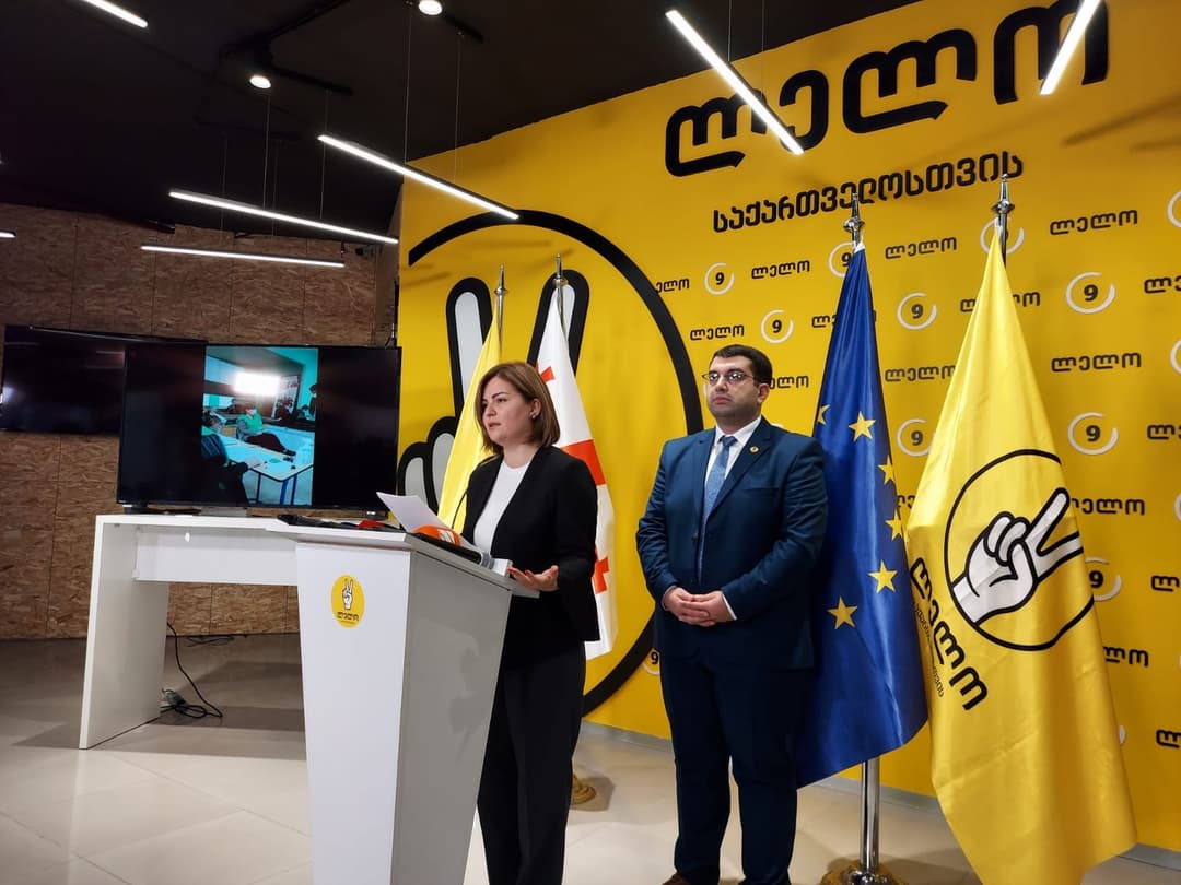 ანა ნაცვლიშვილი – საარჩევნო უბანთან მობილიზებული არიან მოკრიმინალო ელემენტები, რომლებიც ცდილობენ ამომრჩევლის ნების გაკონტროლებას