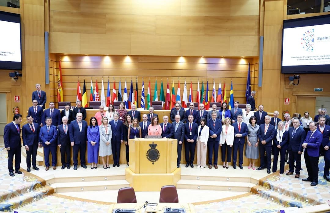 მაკა ბოჭორიშვილი – საქართველოსთვის კანდიდატის სტატუსის მინიჭება და სამივე ასოცირებულ ქვეყანასთან მოლაპარაკებების დაწყება არის ერთადერთი გზა