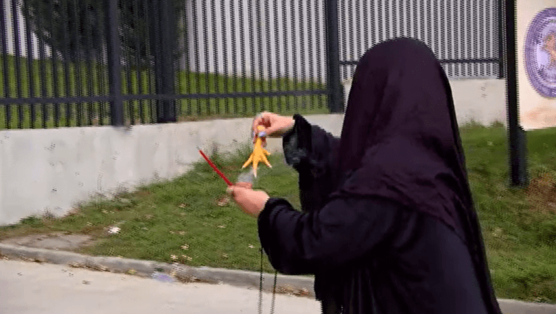 ზურაბ ჯაფარიძის პარტიამ სტამბოლიდან მჩხიბავი სტელა ჩამოიყვანა და შსს-ს ჯადო გაუკეთა