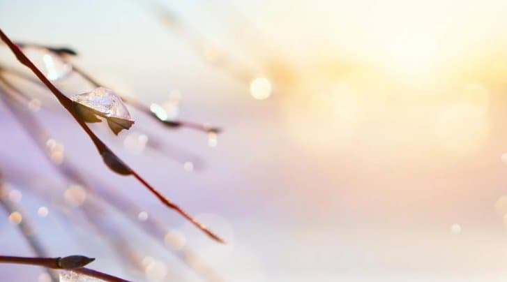 4-7 დეკემბერს მოსალოდნელი ამინდი საქართველოში