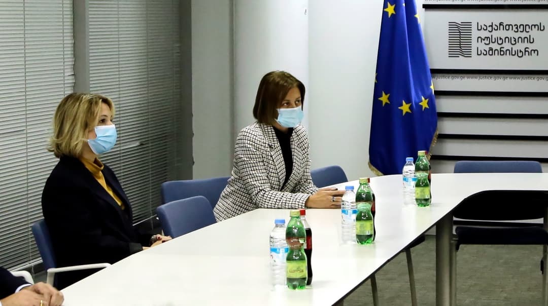 ეკატერინე ტიკარაძე – როდესაც დასტურს მივიღებთ მიხეილ სააკაშვილისგან, ექსპერტები მულტიფუნქციური ჯგუფის სამუშაო რეჟიმში ჩაერთვებიან