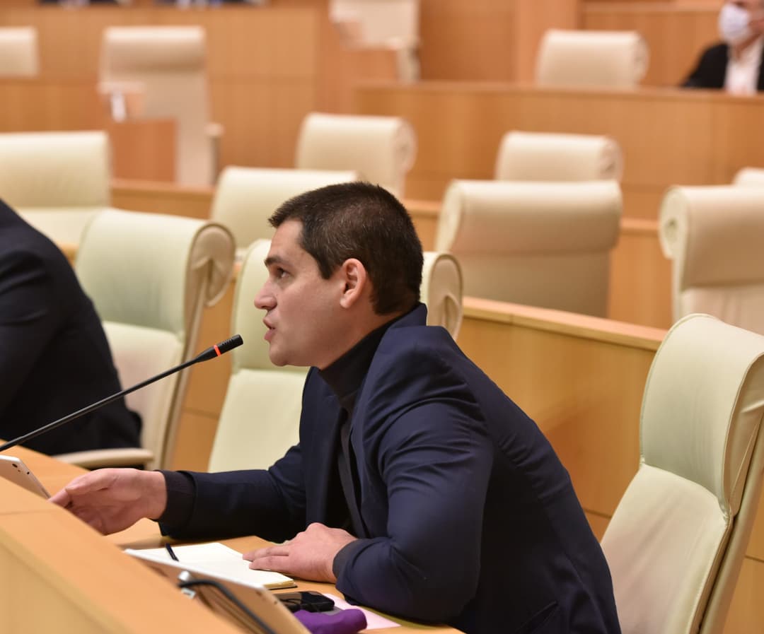 მიხეილ დაუშვილი “ქართულ ოცნებას“ – ლეგიტიმაციის პრობლემა გაქვთ, ადამიანების ნდობა აღარ გაქვთ