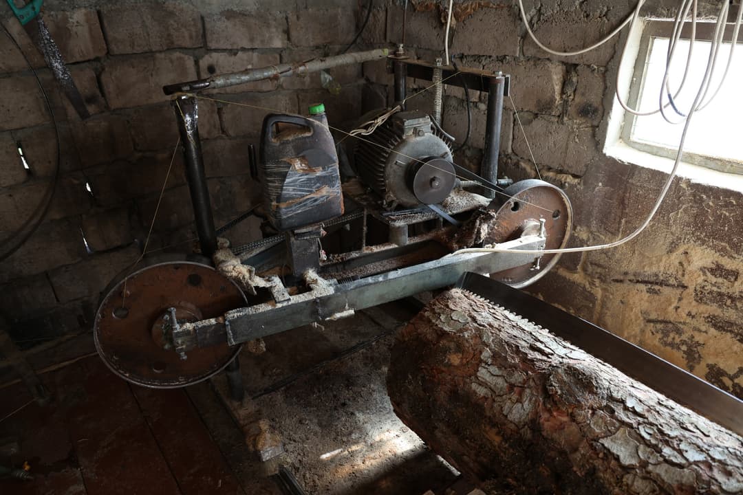 ბორჯომში დაურეგისტრირებელი სახერხი საამქრო გამოავლინეს