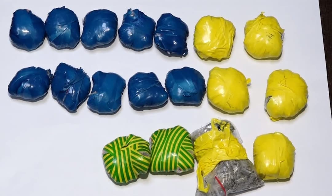 Nine, including five foreign nationals, arrested for drug crimes in Georgia