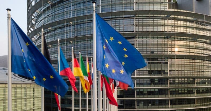 “მოვუწოდებთ საბჭოს და ევროკომისიას, გადახედონ ურთიერთობებს, მათ შორის, საქართველოსთვის ჩვენ პოლიტიკურ და ფინანსურ მხარდაჭერას”