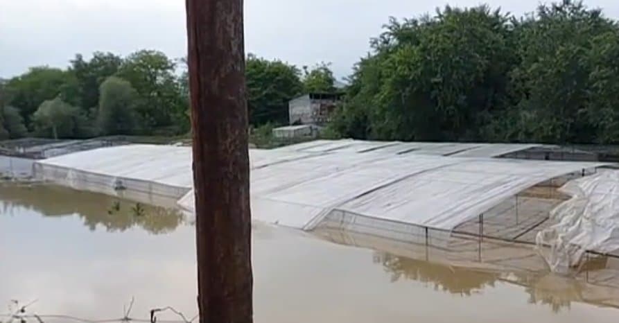 შსს – მეხანძრე-მაშველები უწყვეტ რეჟიმში ახორციელებენ სამაშველო ღონისძიებებს, სამუშაოებში ჩართულია სასაზღვრო პოლიციის ვერტმფრენიც