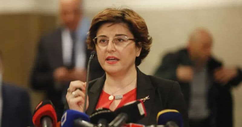 ხათუნა სამნიძე – “ქართული ოცნება” საკუთარ ბოღმასა და ანგარიშსწორების სურვილს ანაცვლებს ქვეყნის ინტერესებსა და იმიჯს