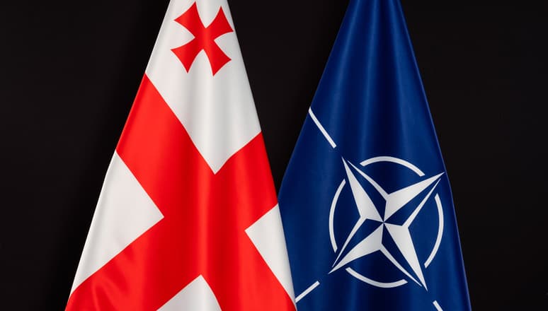 Georgia invited to NATO Washington summit despiste adoption controversial law