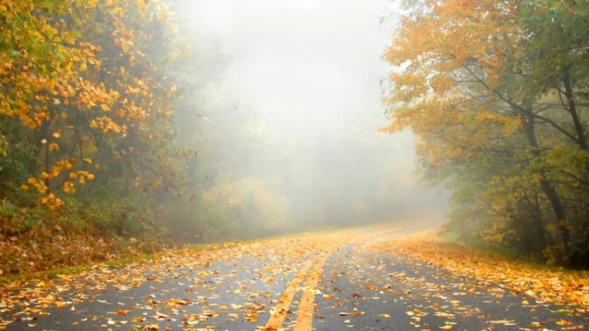 22-27 ოქტომბერს მოსალოდნელი ამინდი საქართველოში