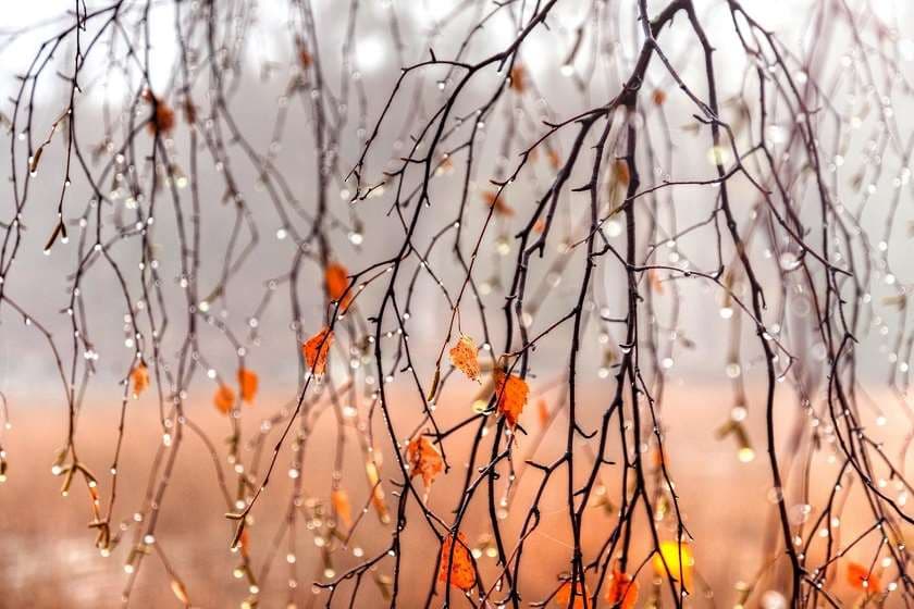 16 ნოემბრამდე მოსალოდნელი ამინდი საქართველოში