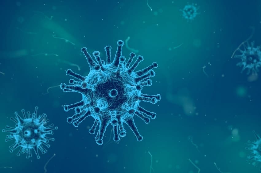 24 საათში კორონავირუსით საქართველოში 65 ადამიანი გარდაიცვალა