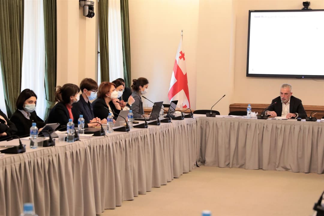 კახა ბექაური კომუნიკაციების კომისიის 2019-2020 წლის ანგარიშს ადამიანის უფლებათა კომიტეტს აცნობს
