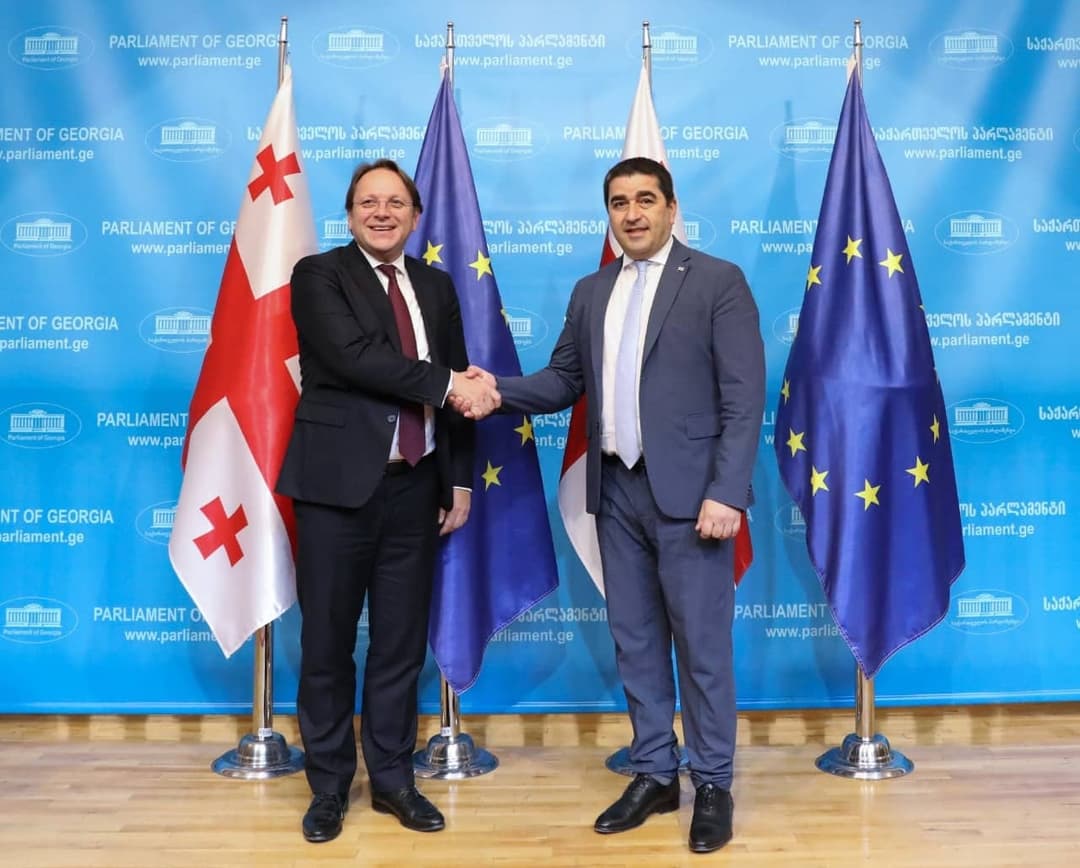 შალვა პაპუაშვილი – მთავარი გზავნილია, რომ დღეს არ არის წუწუნის და კინკლაობის დრო