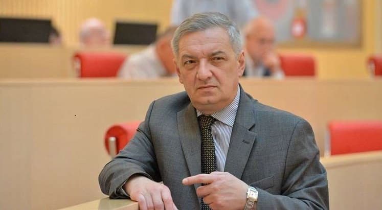 Parliament Vice-Speaker: NATO membership may take long, but Georgia shouldn’t change its position