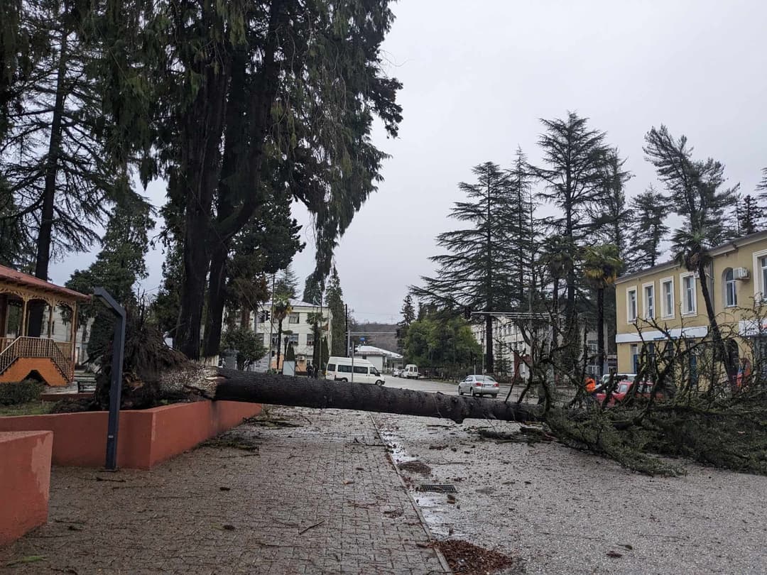 ძლიერმა ქარმა წალენჯიხაში ხეები მოგლიჯა და სახლები დააზიანა