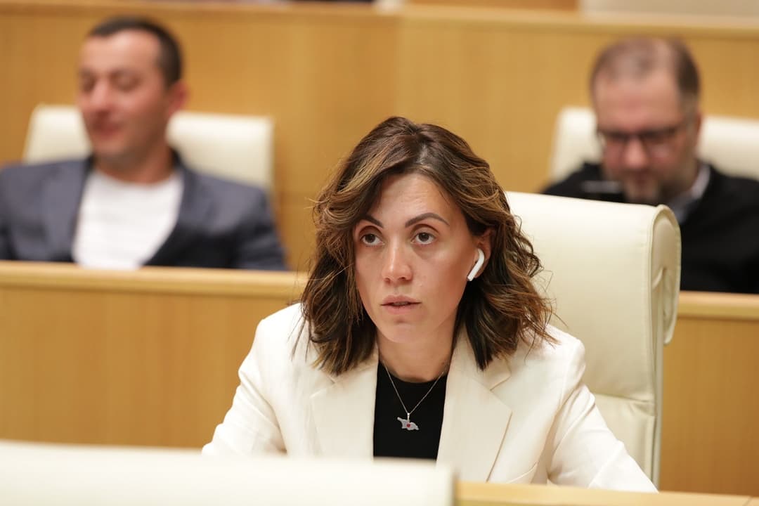 ანა წითლიძე – ხელისუფლება ყოველ ჯერზე ყველაფერს აკეთებს იმისთვის, რომ ევროპული კურსი დააზიანოს