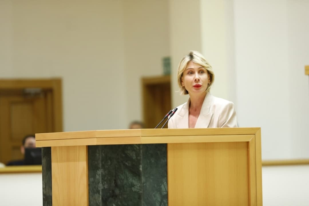 ნინო წილოსანი – ნათია თურნავას წარდგენაზე ბოდიშს იხდის ქალი, რომლის არჩევასაც მილიონზე მეტი ადამიანი ნანობს